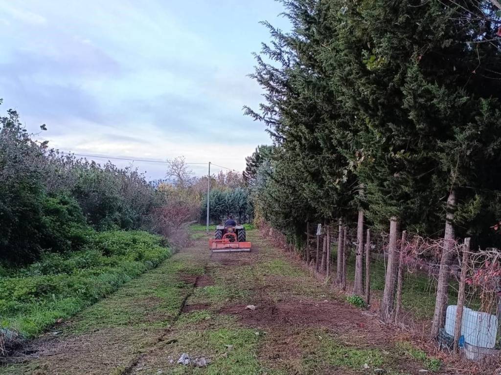 Terreno a Sarno in Via Sarno Palma - Foto 5