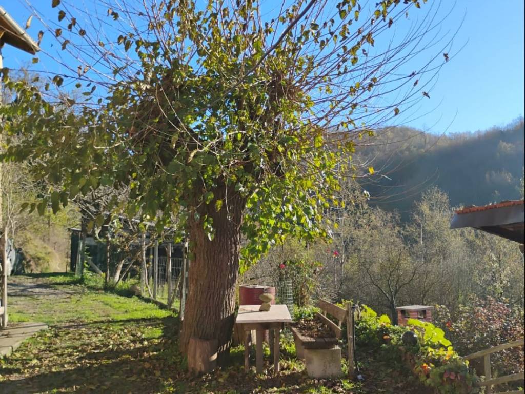 Villa a Dego in Località Carazza - Foto 5