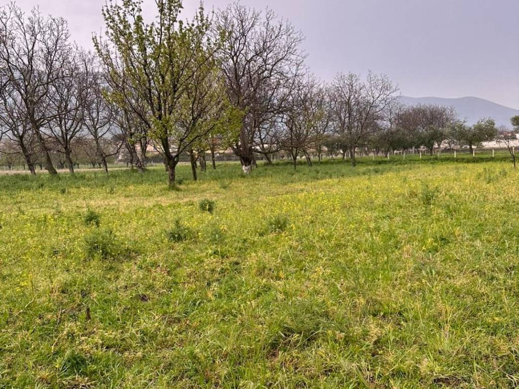 Terreno a San felice a cancello in Via Sant'Aniello - Foto 2