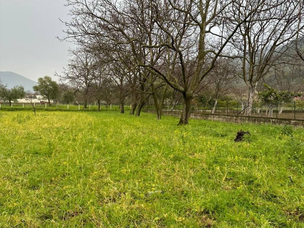 Terreno a San felice a cancello in Via Sant'Aniello - Foto 3