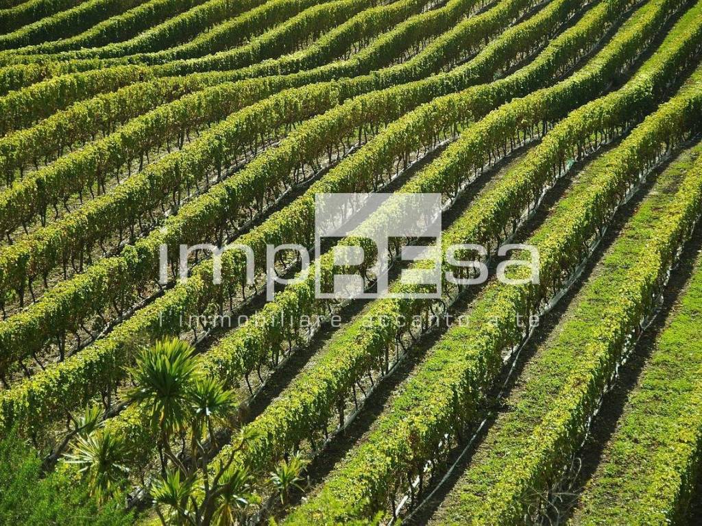Terreno a Valdobbiadene - Foto 3