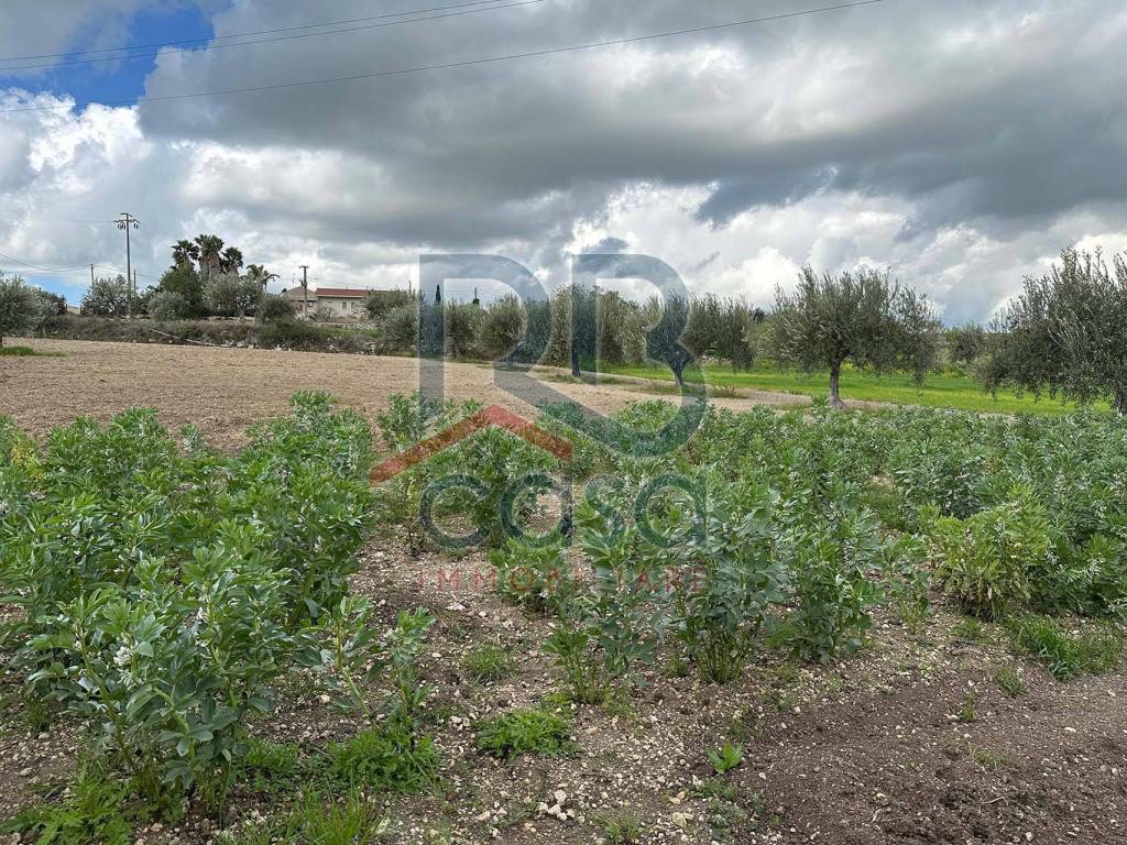 Villa a Ispica in Contrada Pantano Secco - Foto 4