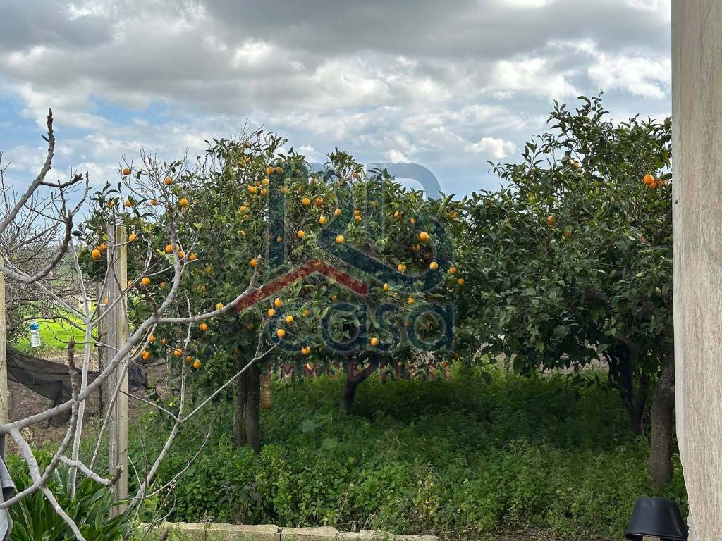 Villa a Ispica in Contrada Pantano Secco - Foto 5