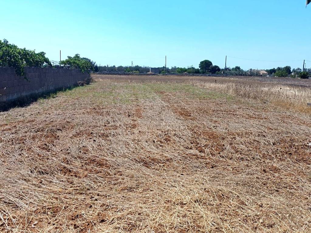 Terreno a Ortelle in Via Bosco - Foto 2