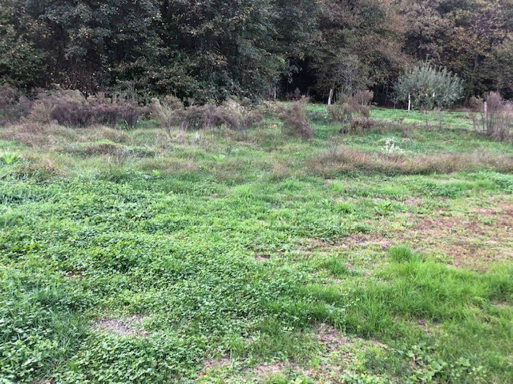 Terreno a Comabbio in Via P. Campiglio - Foto 3