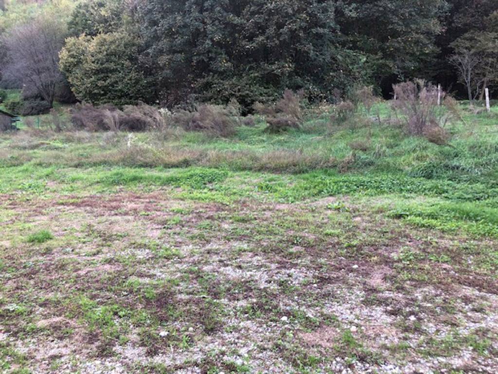 Terreno a Comabbio in Via P. Campiglio - Foto 4