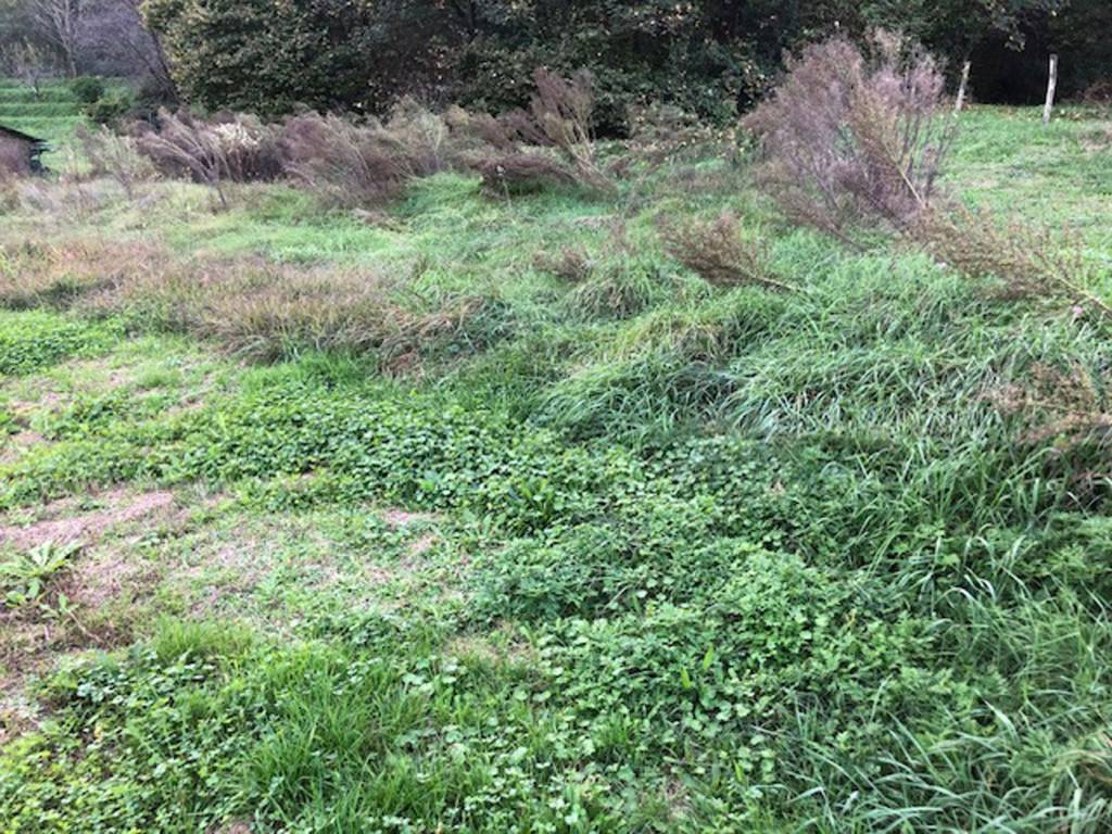 Terreno a Comabbio in Via P. Campiglio - Foto 5
