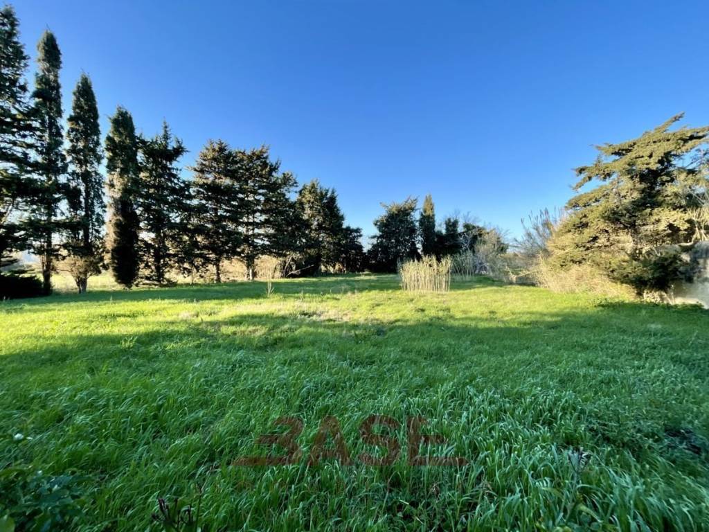 Terreno a Rosignano marittimo in Polveroni - Foto 2