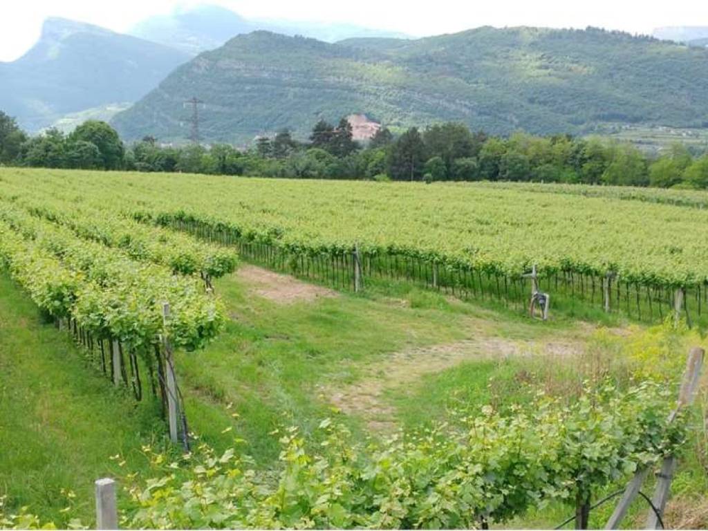 Terreno a Rovereto in VIA PINERA, 150 - Foto 4