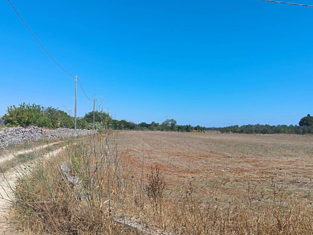 Terreno a Spongano in Strada Comunale del Bosco Ortelle - Foto 2