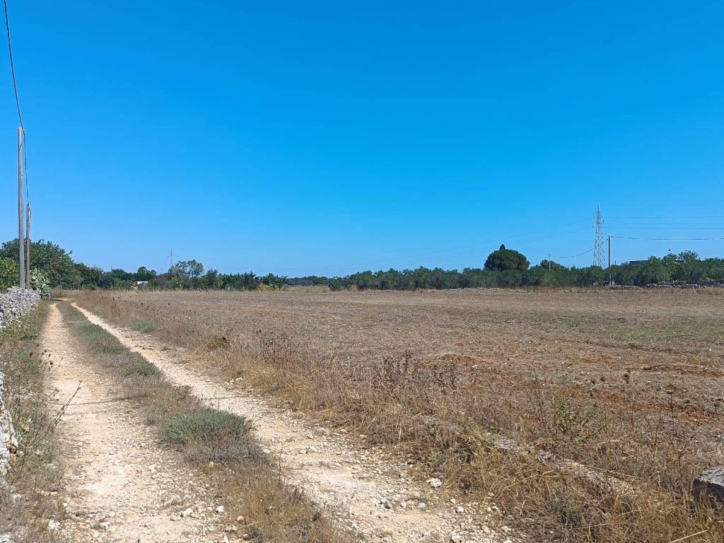 Terreno a Spongano in Strada Comunale del Bosco Ortelle - Foto 3