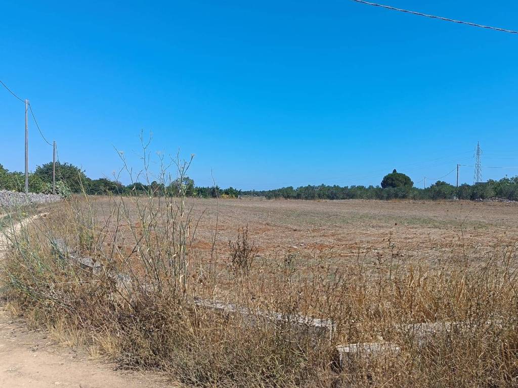 Terreno a Spongano in Strada Comunale del Bosco Ortelle - Foto 4