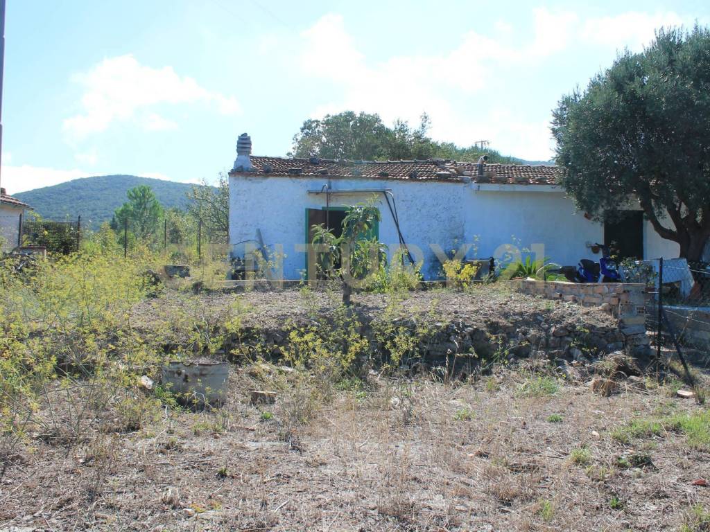Rustico / casale a Monte argentario in via cannatelli, 56 - Foto 3