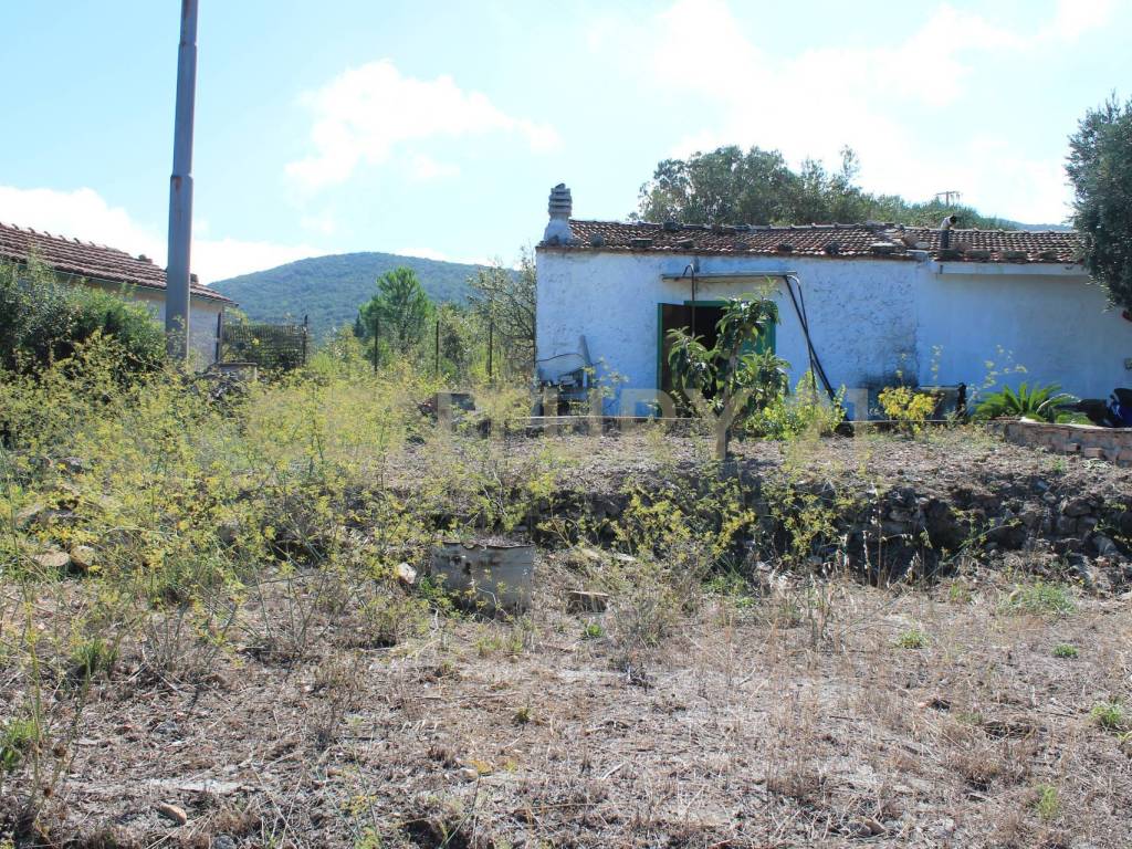 Rustico / casale a Monte argentario in via cannatelli, 56 - Foto 5