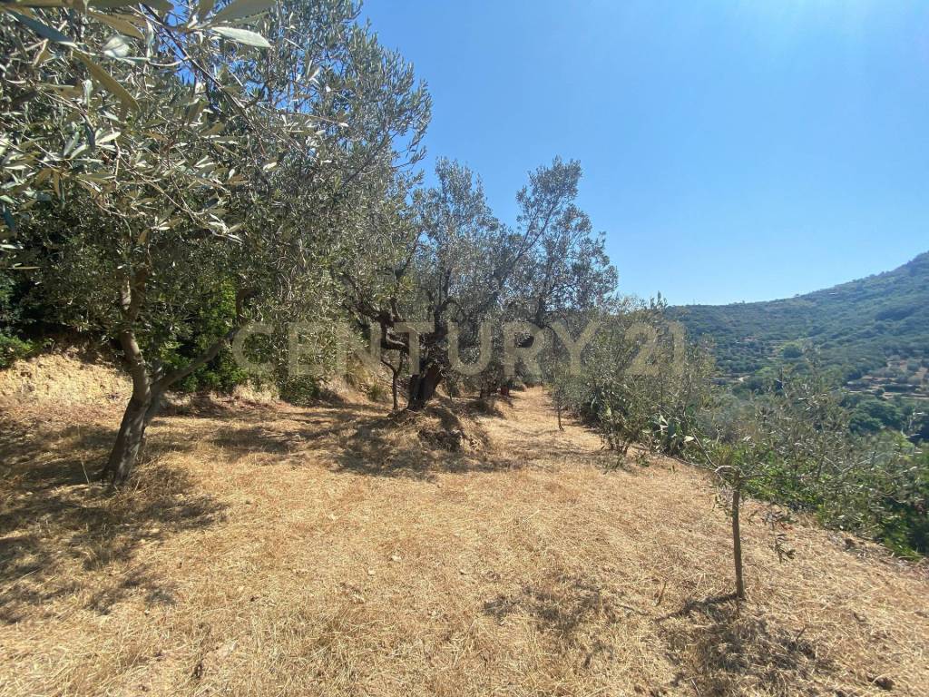 Rustico / casale a Monte argentario in Via del Campone - Foto 4