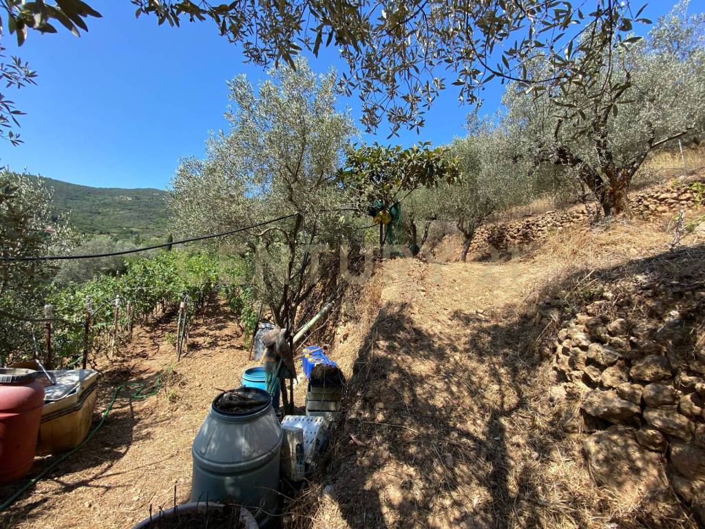 Rustico / casale a Monte argentario in Via del Campone - Foto 5