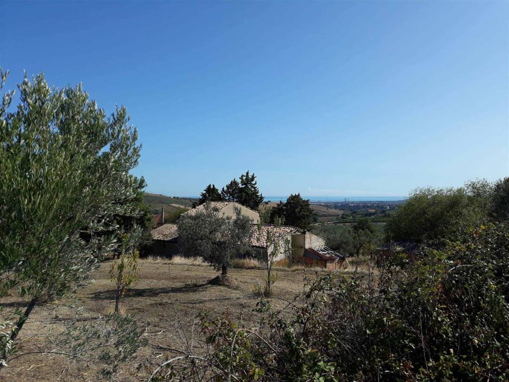 Terreno a Cupello in CONTRADA POLERCIA - Foto 2