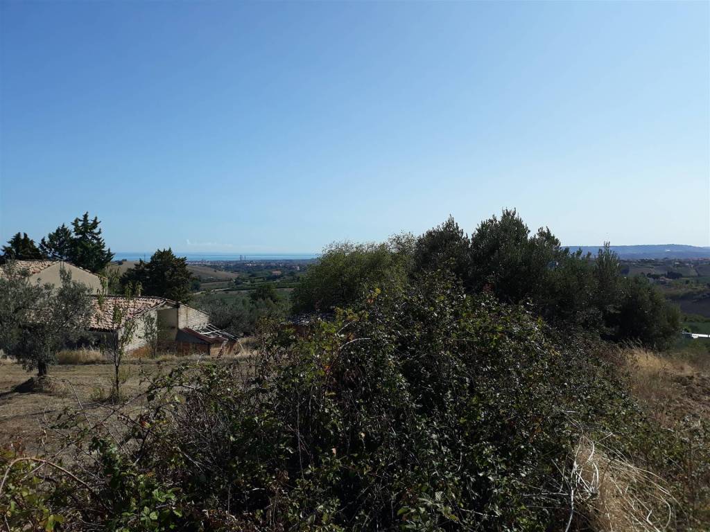 Terreno a Cupello in CONTRADA POLERCIA - Foto 4