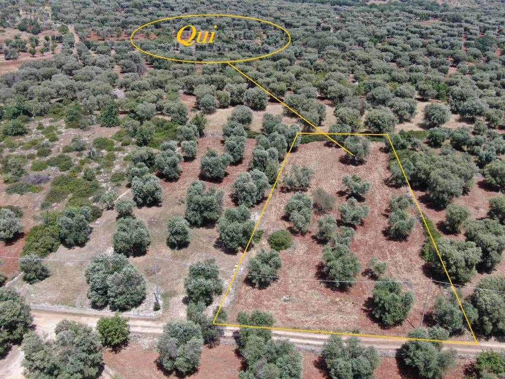 Terreno a Carovigno in SP29 - Foto 2