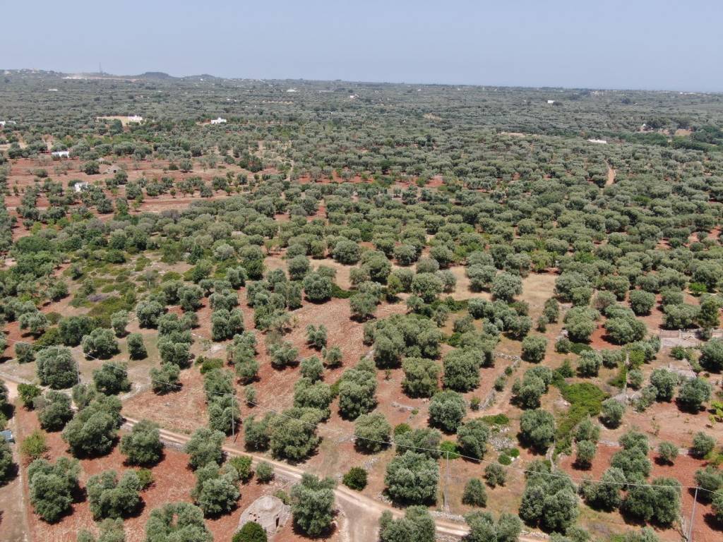 Terreno a Carovigno in SP29 - Foto 4