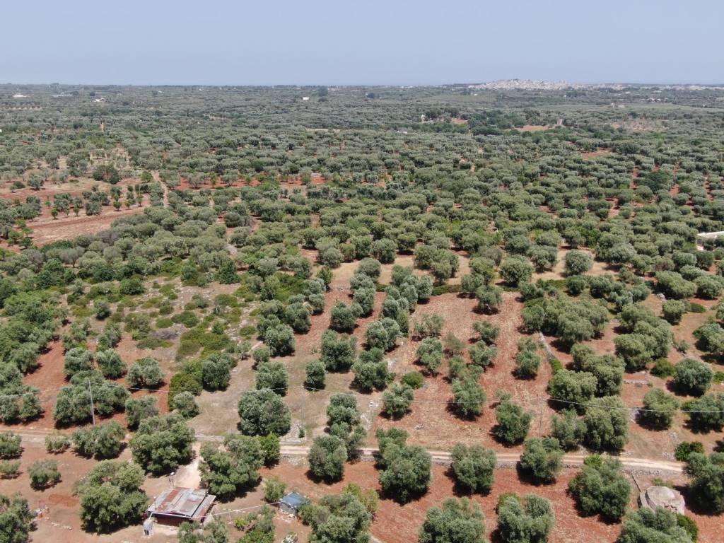 Terreno a Carovigno in SP29 - Foto 3
