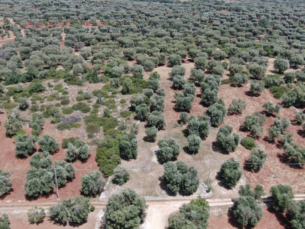 Terreno a Carovigno in SP29 - Foto 5