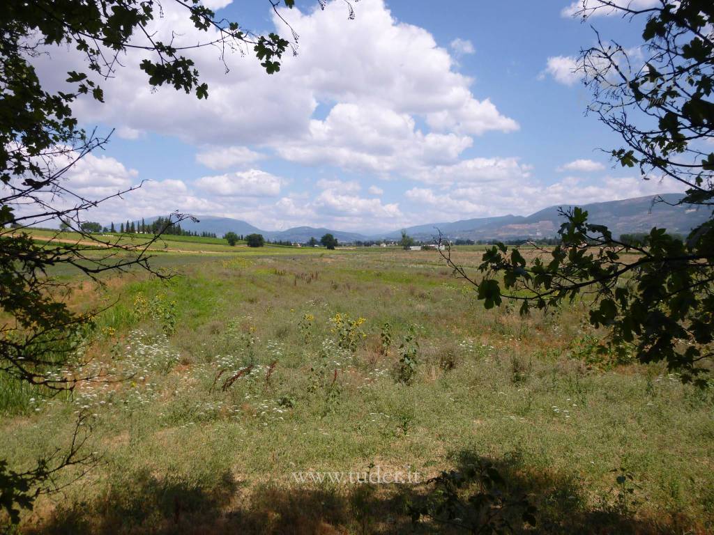 Rustico / casale a Montefalco in Località San Luca-Case Sparse - Foto 2