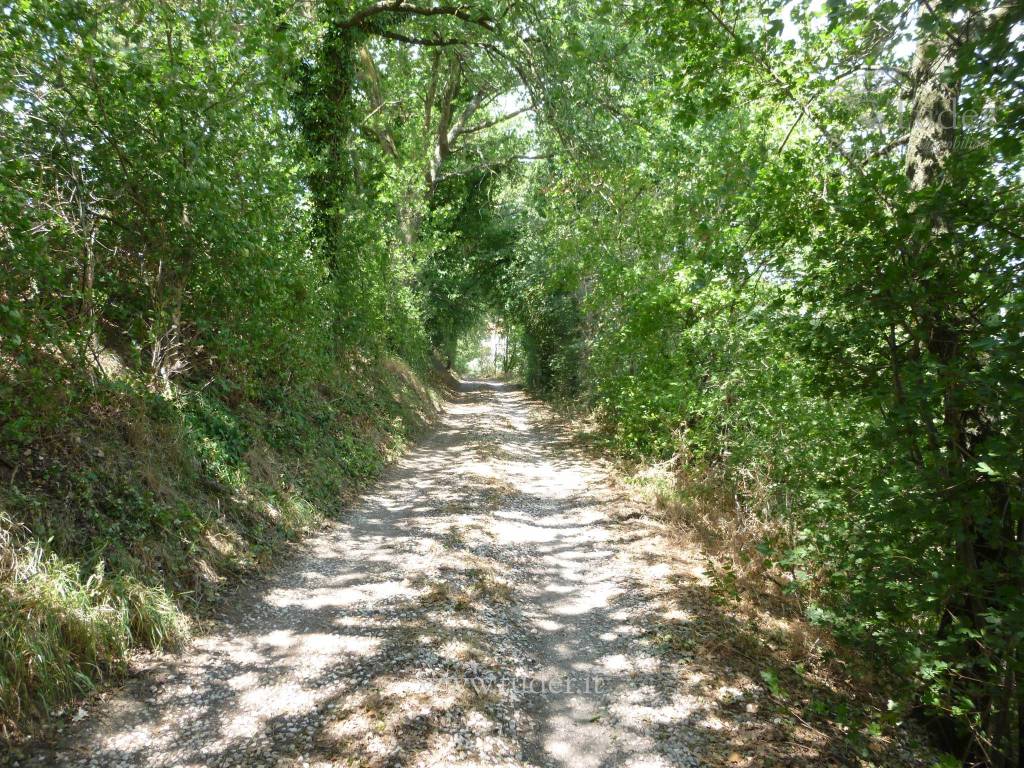 Rustico / casale a Montefalco in Località San Luca-Case Sparse - Foto 3