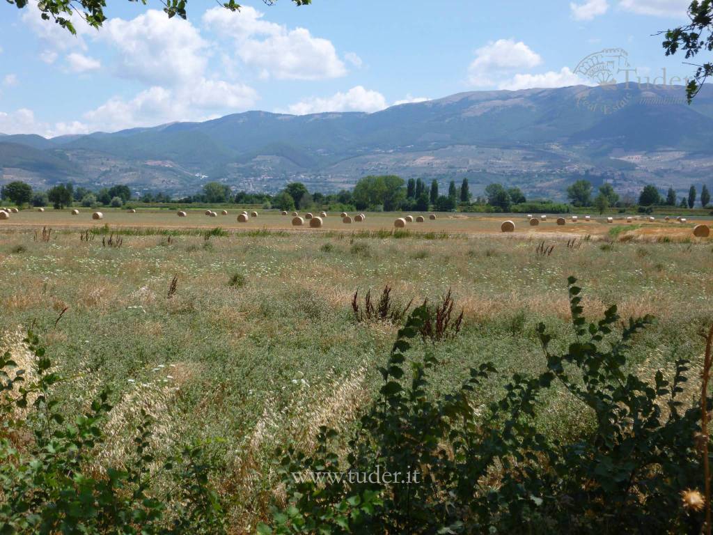 Rustico / casale a Montefalco in Località San Luca-Case Sparse - Foto 5