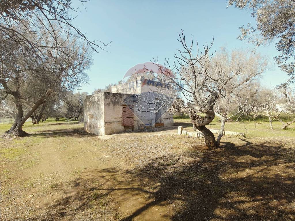 Terreno a Mesagne in Contrada Viscigli - Foto 2