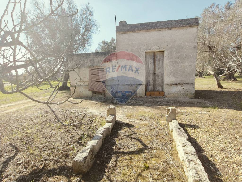 Terreno a Mesagne in Contrada Viscigli - Foto 5
