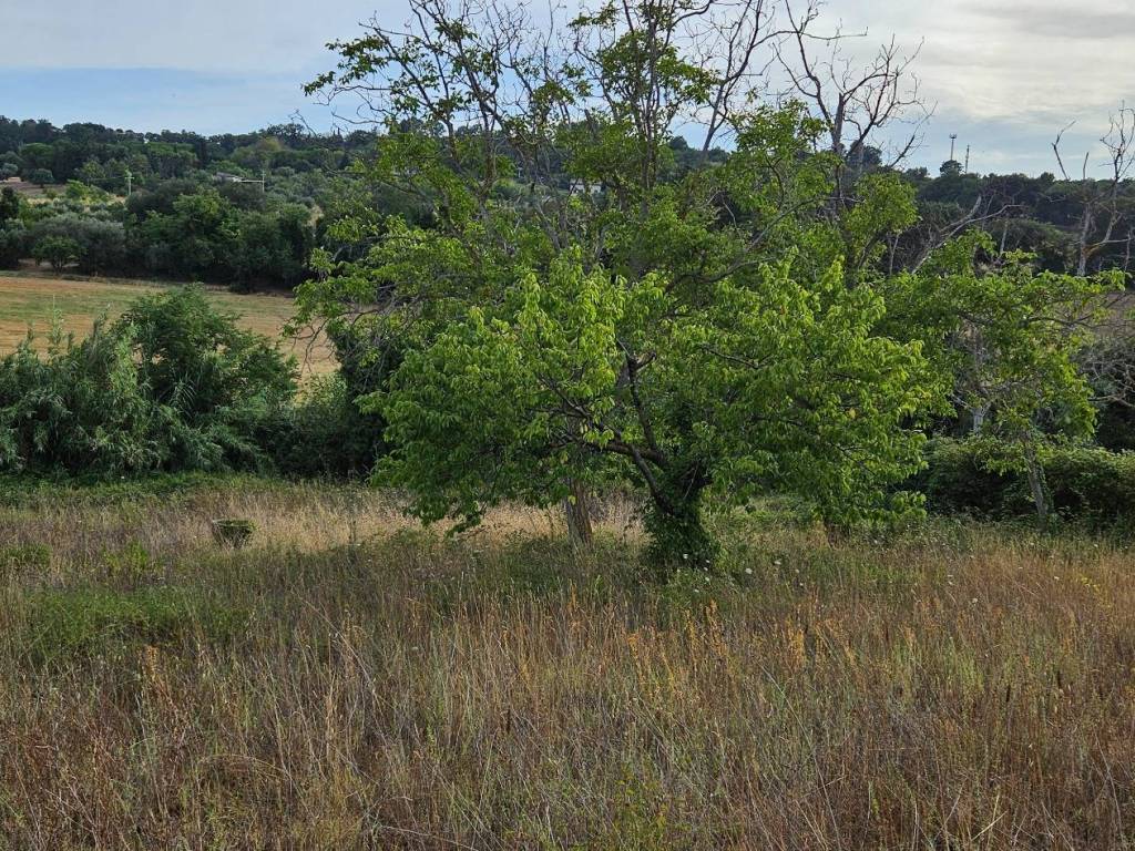 Terreno a Civitanova marche - Foto 2