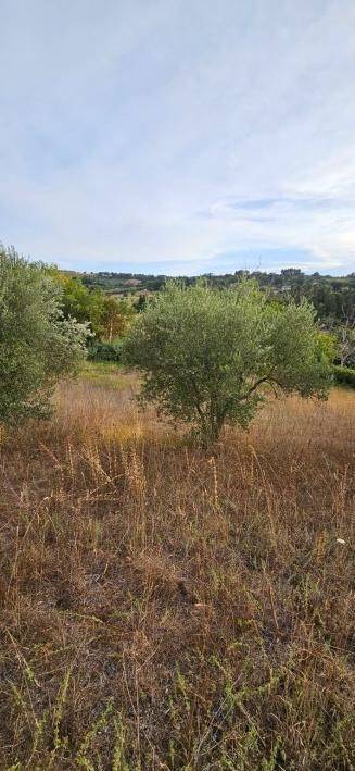 Terreno a Civitanova marche - Foto 3