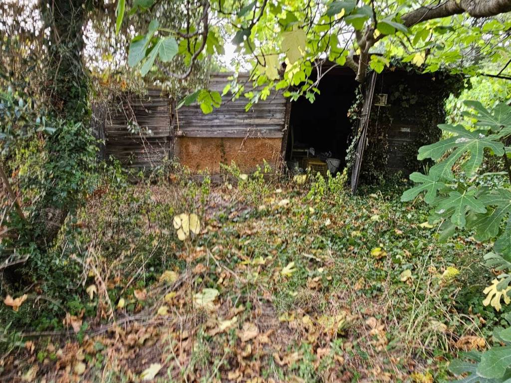 Terreno a Civitanova marche - Foto 4