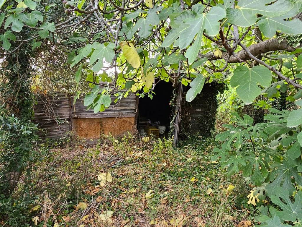 Terreno a Civitanova marche - Foto 5