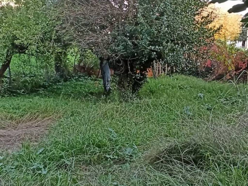 Rustico / casale a Lucca in Viale S. Concordio - Foto 2