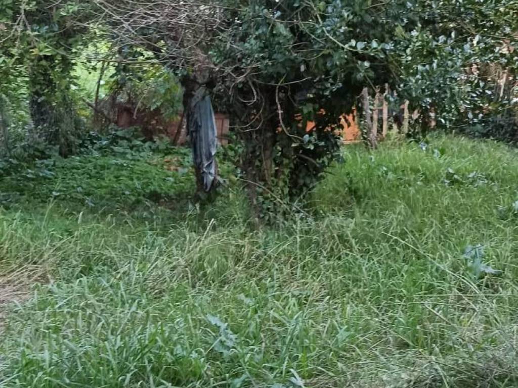 Rustico / casale a Lucca in Viale S. Concordio - Foto 3