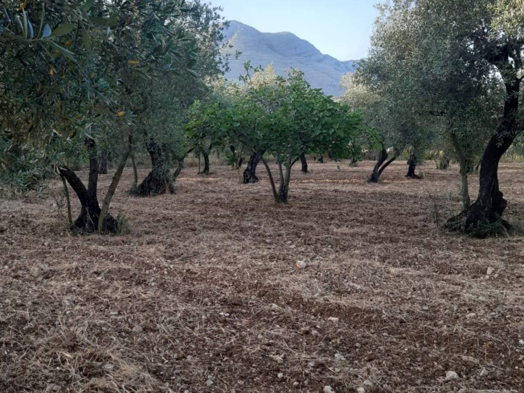 Terreno a Formia in Via Mamurrano - Foto 2
