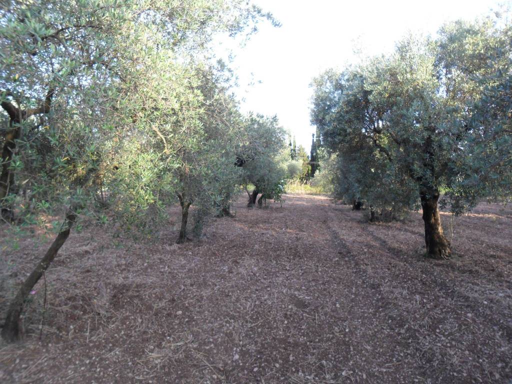 Terreno a Formia in Via Mamurrano - Foto 3