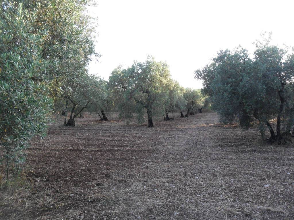 Terreno a Formia in Via Mamurrano - Foto 4