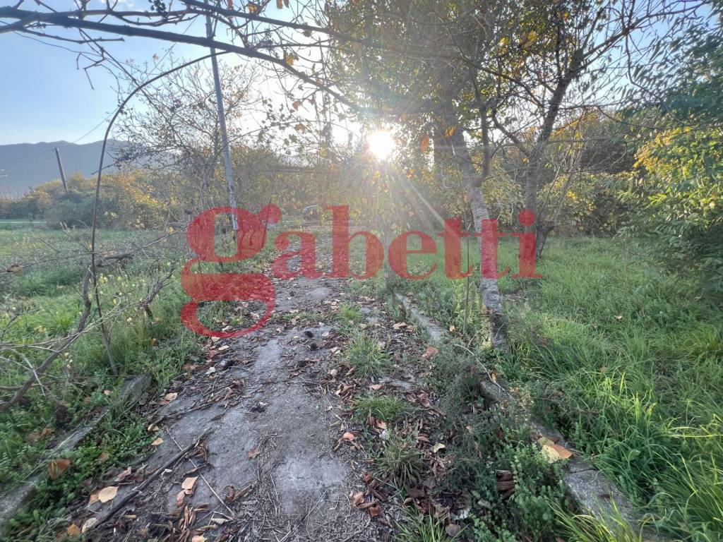 Casa indipendente a Venafro in Via Madonnella di Sesto, s/c - Foto 4