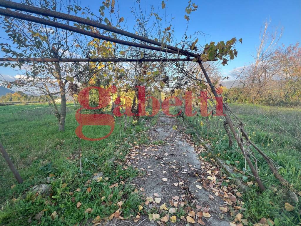 Casa indipendente a Venafro in Via Madonnella di Sesto, s/c - Foto 5