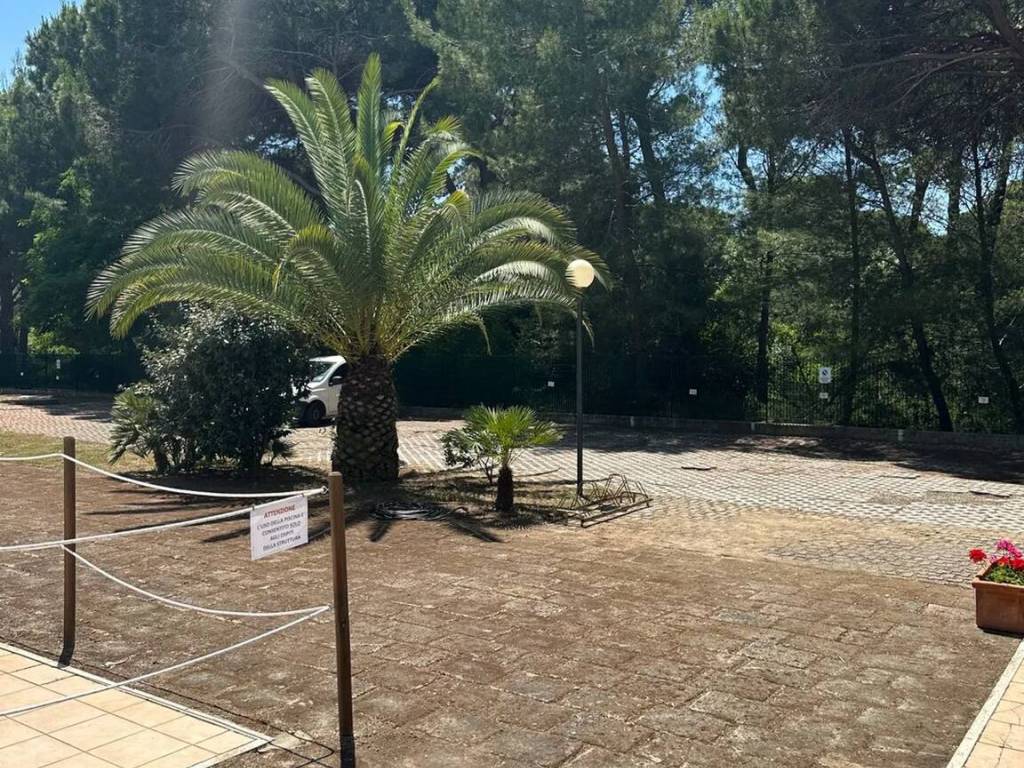 Appartamento a Grosseto in Via Del Muggine - Foto 3