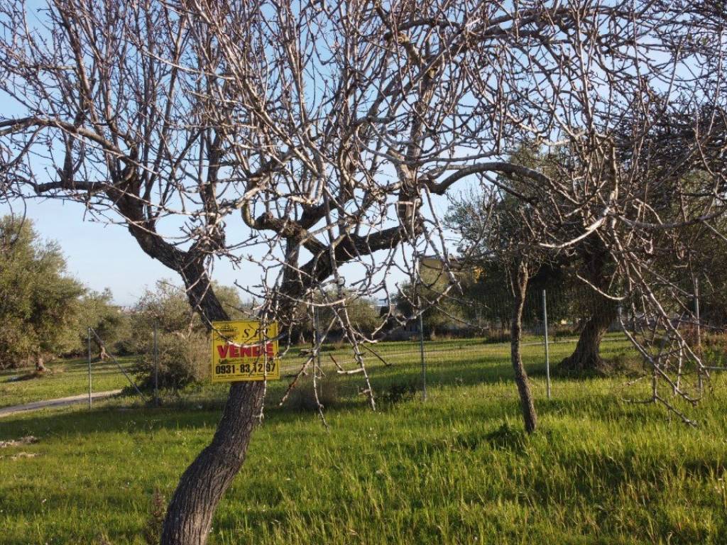 Terreno a Pachino - Foto 4