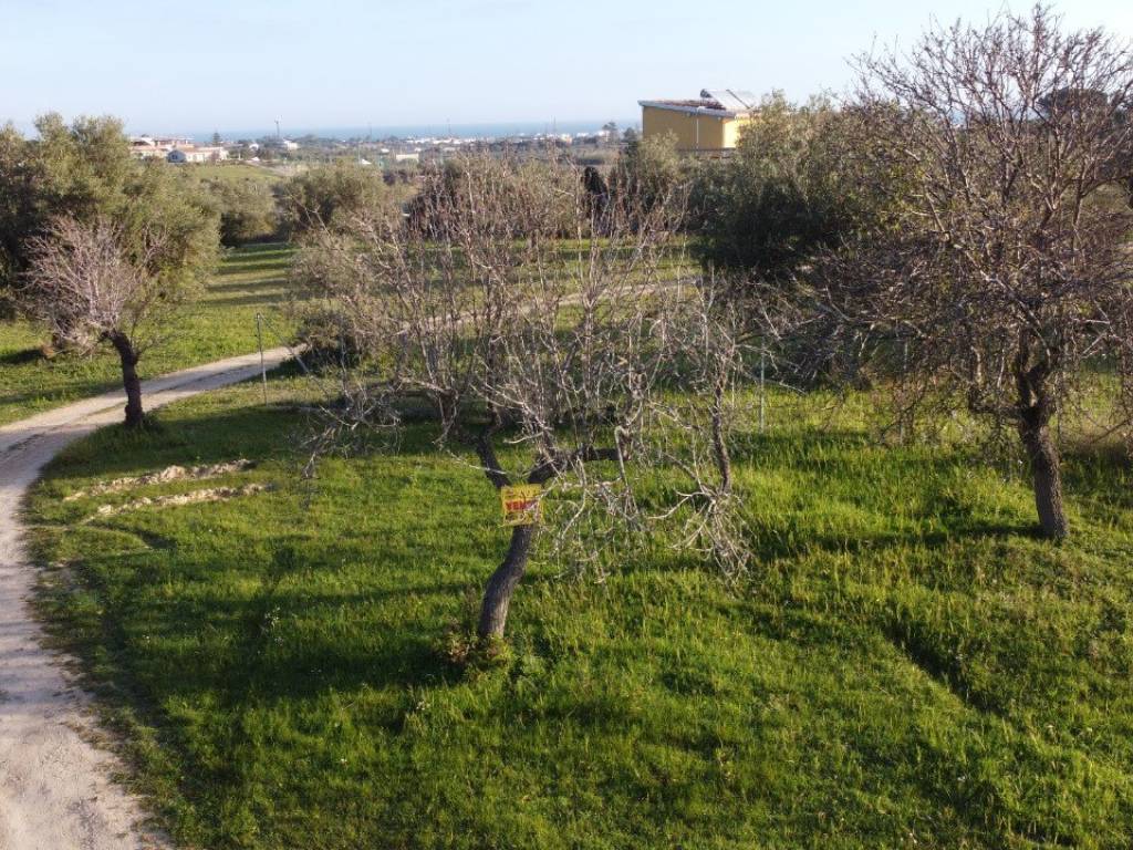 Terreno a Pachino - Foto 5