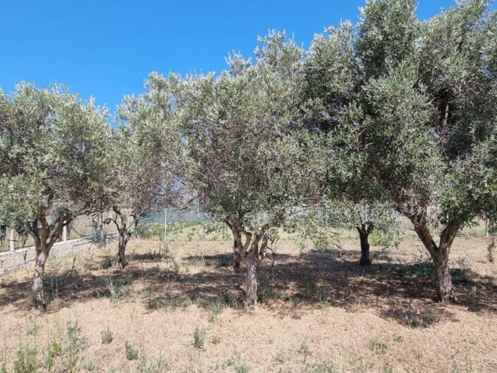 Villa a Pachino in contrada lettiera - Foto 3