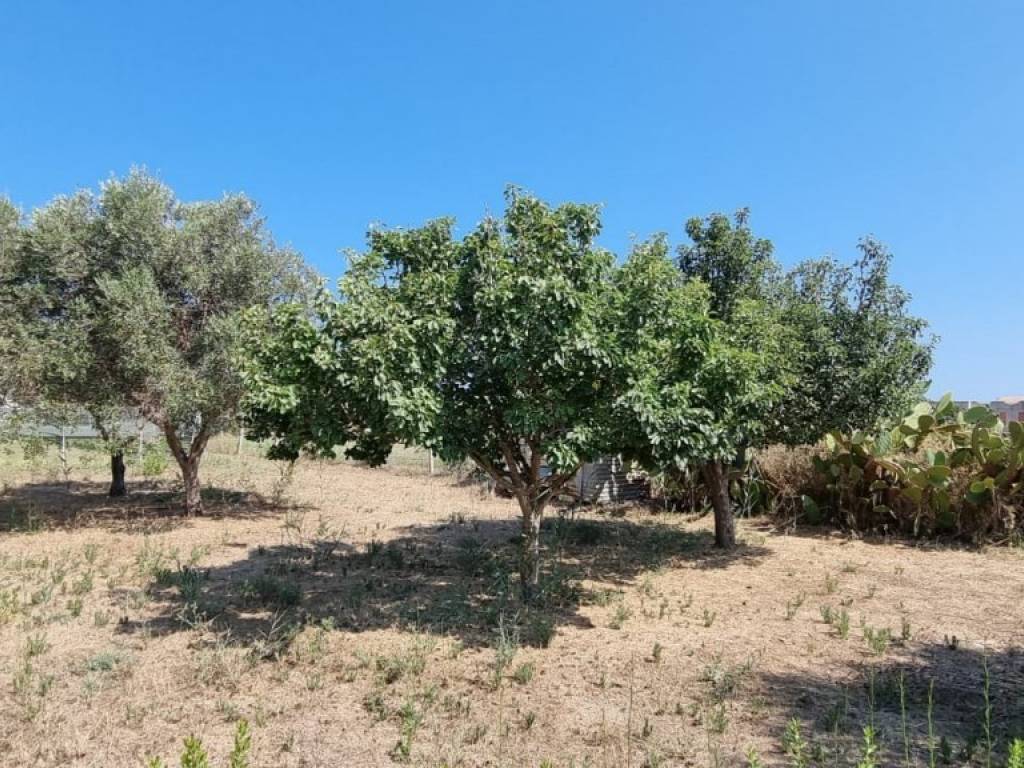 Villa a Pachino in contrada lettiera - Foto 4