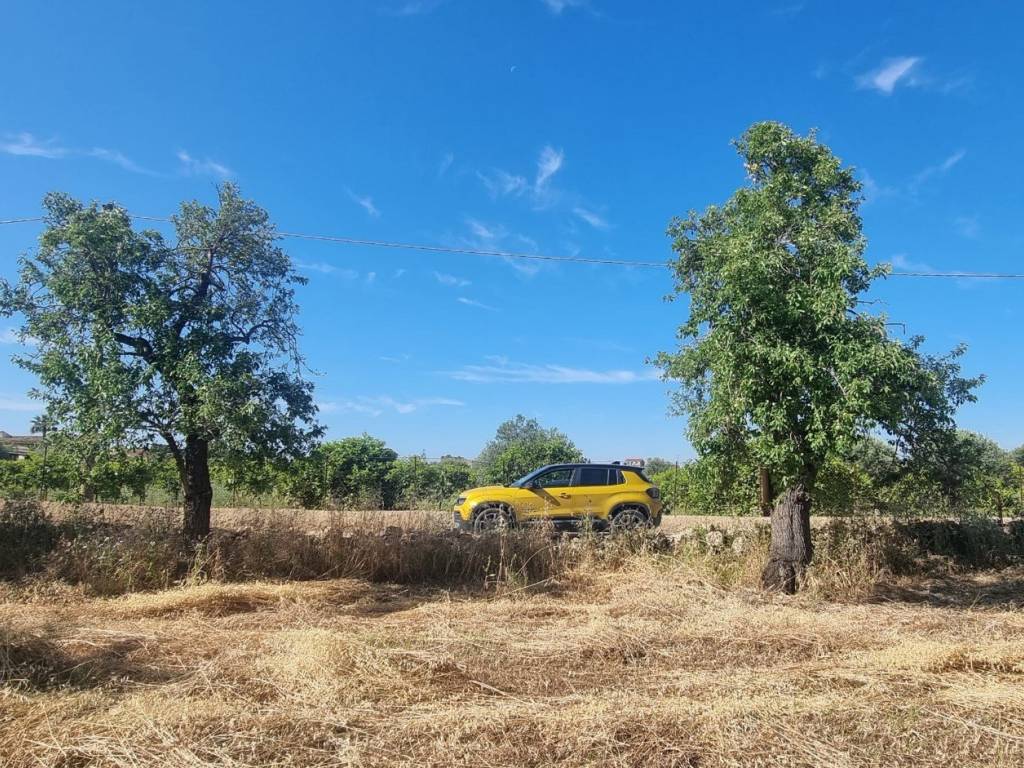 Terreno a Noto in falconara - Foto 2