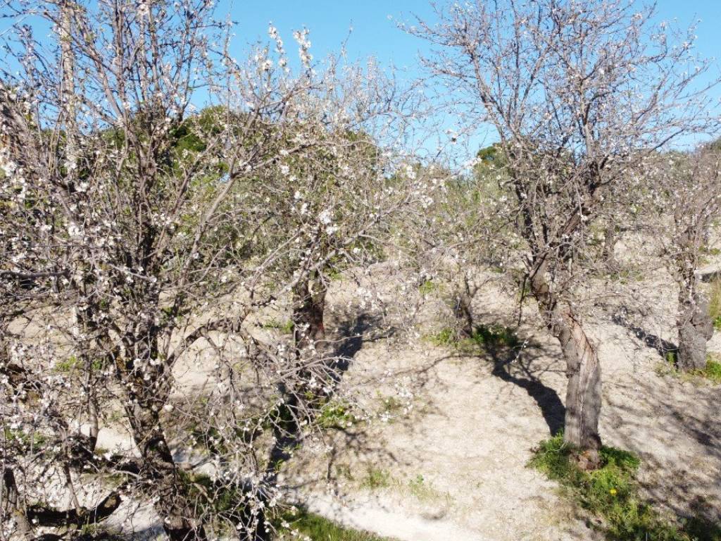 Rustico / casale a Noto - Foto 5