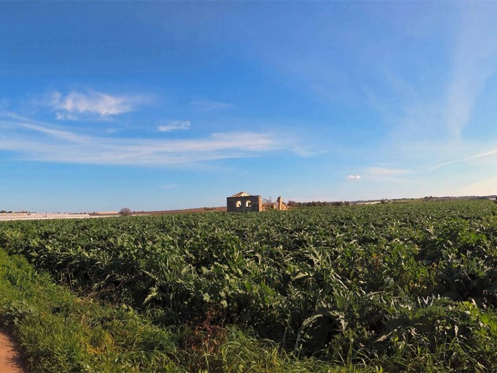 Terreno a Noto - Foto 2